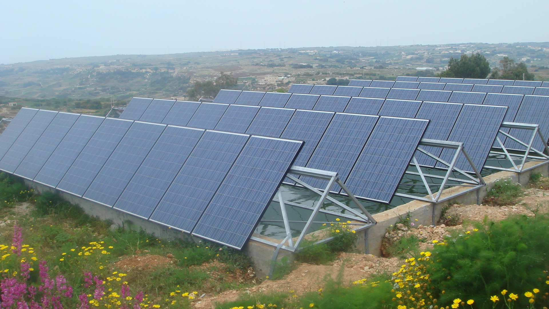 Lady Bird Farm - Malta